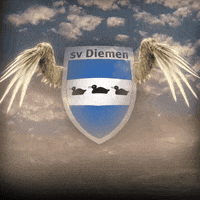 svdiemen svdiemen GIF