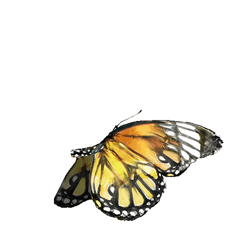 Sticker by Manufaktura_cz