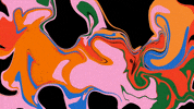 PROSANOVA2020 festival literature sleek magazin GIF