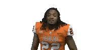 Cnfb Sticker by Carson-Newman Athletics