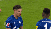 Sad Football GIF by FC Schalke 04