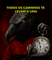 Libertadores Fla GIF