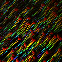 Art Rainbow GIF by xponentialdesign