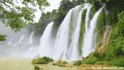 Water Landscape GIF