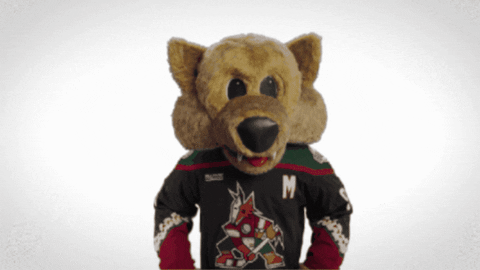 Arizona Coyotes Idk GIF by NHL