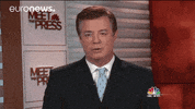 International News Manafort GIF by euronews