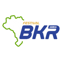 Kart Amika Sticker by amika.kart