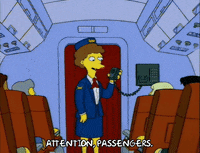 the simpsons airplane GIF