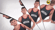Msumwrestling GIF by MSUM Dragons