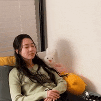 K Pop Triples GIF