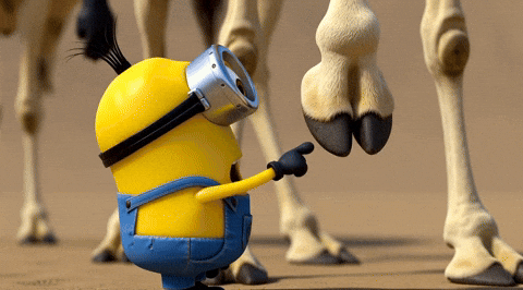Cameltoe GIF