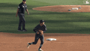 Blue Jays Sport GIF by Toronto Blue Jays