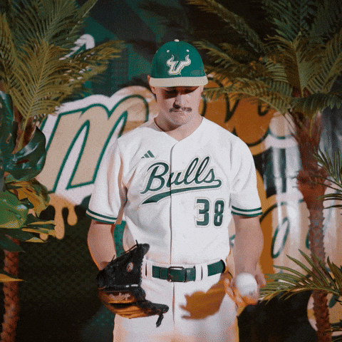 South Florida Baseball GIF by USF Athletics