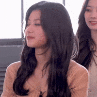 Shiba Inu Sana GIF