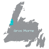 Nl West Sticker by Go Western Newfoundland