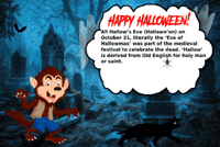Black Cat Halloween GIF