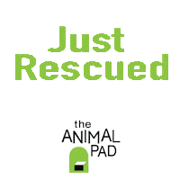 Dog Adopt Sticker by theanimalpad