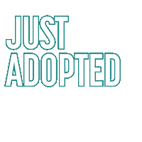 cciluphilippines cciluphilippines cciluph greenplax Sticker