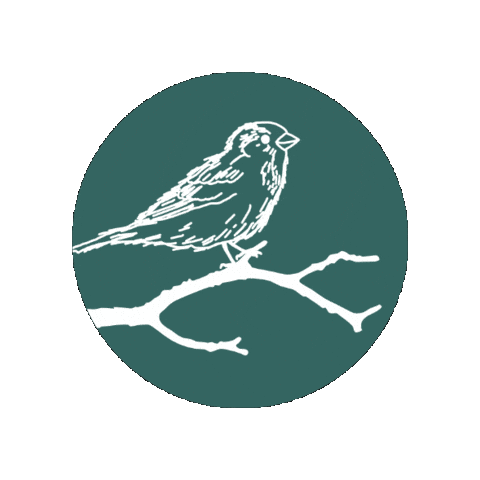 baumspatz giphygifmaker design spatz baumspatz Sticker