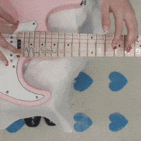 Stella We Dont Care GIF