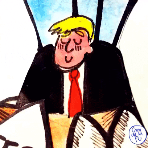 camdelafu giphygifmaker GIF