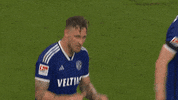 Game Day Win GIF by FC Schalke 04