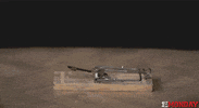 GIF by FirstAndMonday