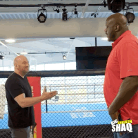 season 1 facebook watch GIF by Big Chicken Shaq