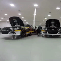 daytona500 GIF by Richard Childress Racing