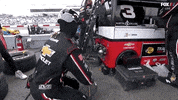 Sport Racing GIF by NASCAR