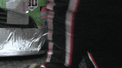 New Hampshire Sport GIF by NASCAR