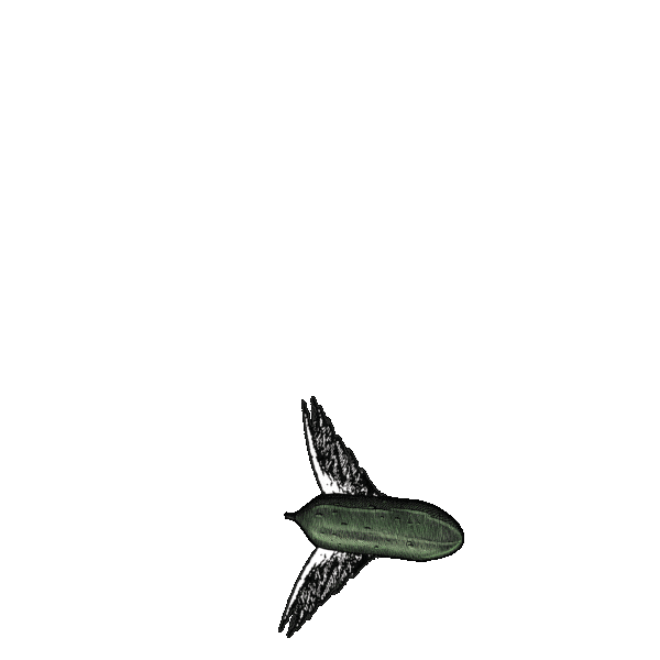 Flying Gin And Tonic Sticker by HENDRICK'S GIN