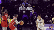 College Sports Sport GIF by LSU Tigers