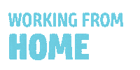 Work From Home Cat Sticker by Morris Animal Foundation