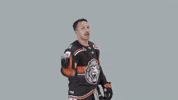 Hockey Del GIF by Löwen Frankfurt