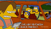 Lisa Simpson GIF by The Simpsons