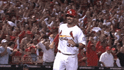 st. louis cardinals GIF by MLB