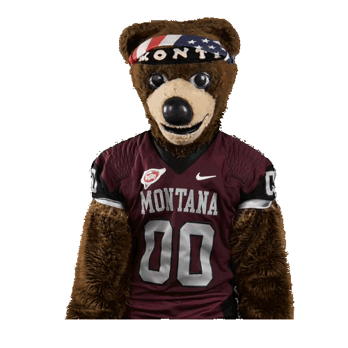 College Sports Montana Sticker by College Colors Day