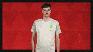 Werder Bremen Football GIF by Bundesliga