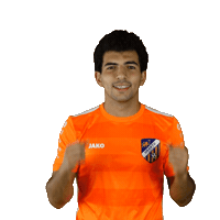 Football Goal Sticker by Urartu FC