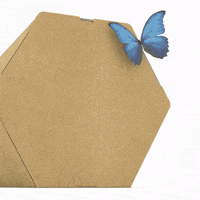 Happy Fun GIF by Rollor Packaging