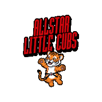 Martial Arts Taekwondo Sticker by AllstarMartialArtsAcademy