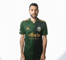 Portland Timbers Soccer GIF by Timbers