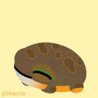 Good Morning Frog GIF by pikaole