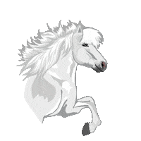 Horse Love Sticker by Easyflix TV