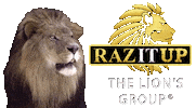 Lion King Realestate Sticker by Yanni Raz