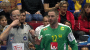Ehfeuro GIF by EHF