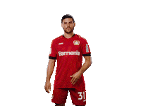 Bayer 04 Love Sticker by Bayer 04 Leverkusen