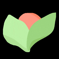 Flower Color GIF