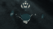 GIF by Testament